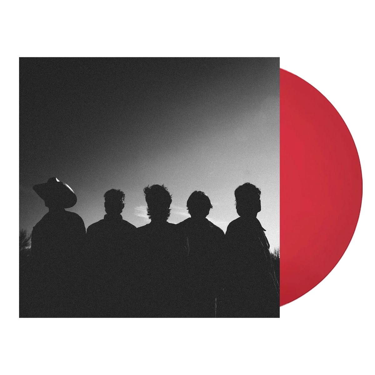 Lot To Learn Vinyl - Translucent Red